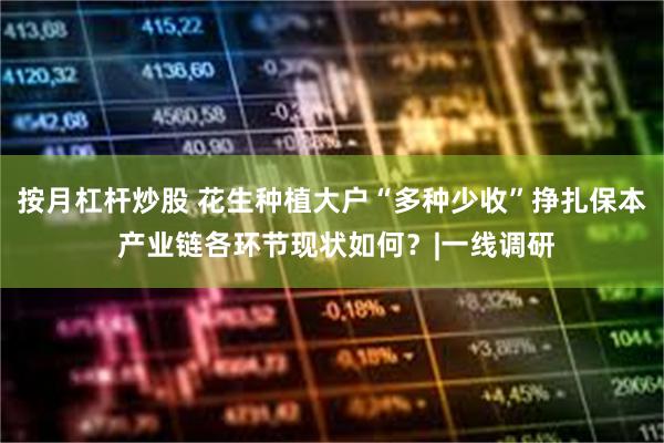 按月杠杆炒股 花生种植大户“多种少收”挣扎保本 产业链各环节现状如何?|一线调研