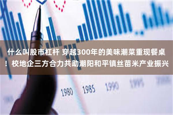 什么叫股市杠杆 穿越300年的美味潮菜重现餐桌!校地企三方合力共助潮阳和平镇丝苗米产业振兴