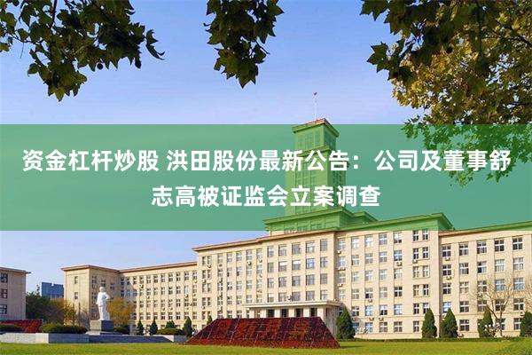 资金杠杆炒股 洪田股份最新公告：公司及董事舒志高被证监会立案调查