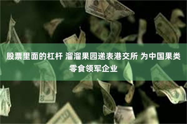 股票里面的杠杆 溜溜果园递表港交所 为中国果类零食领军企业