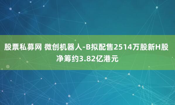 股票私募网 微创机器人-B拟配售2514万股新H股 净筹约3.82亿港元
