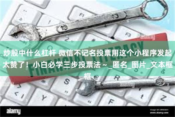 炒股中什么杠杆 微信不记名投票用这个小程序发起太赞了!小白必学三步投票法~_匿名_图片_文本框